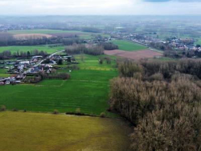 Bos Schillebeeksevoetweg   9500 Geraardsbergen